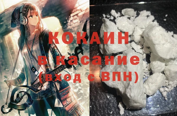 твердый Аркадак