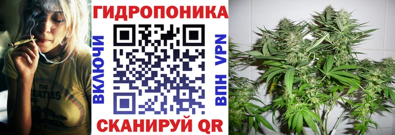 сколько стоит  Жигулёвск  blacksprut как войти  Бошки Шишки гибрид 
